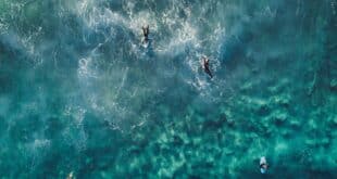 Surfen