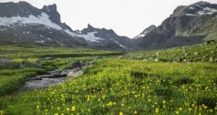 Jotunheimen