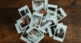 Polaroid