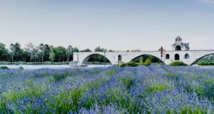 Avignon
