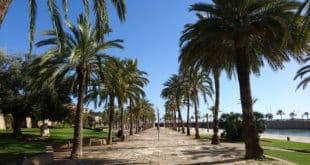Die Top10-Sehenswürdigkeiten in Palma